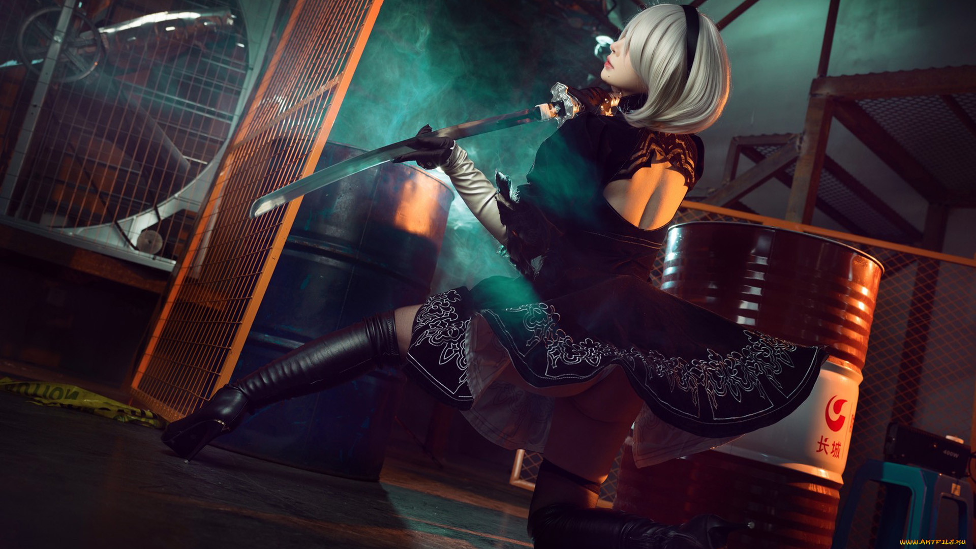 , - ,  , automata, nier